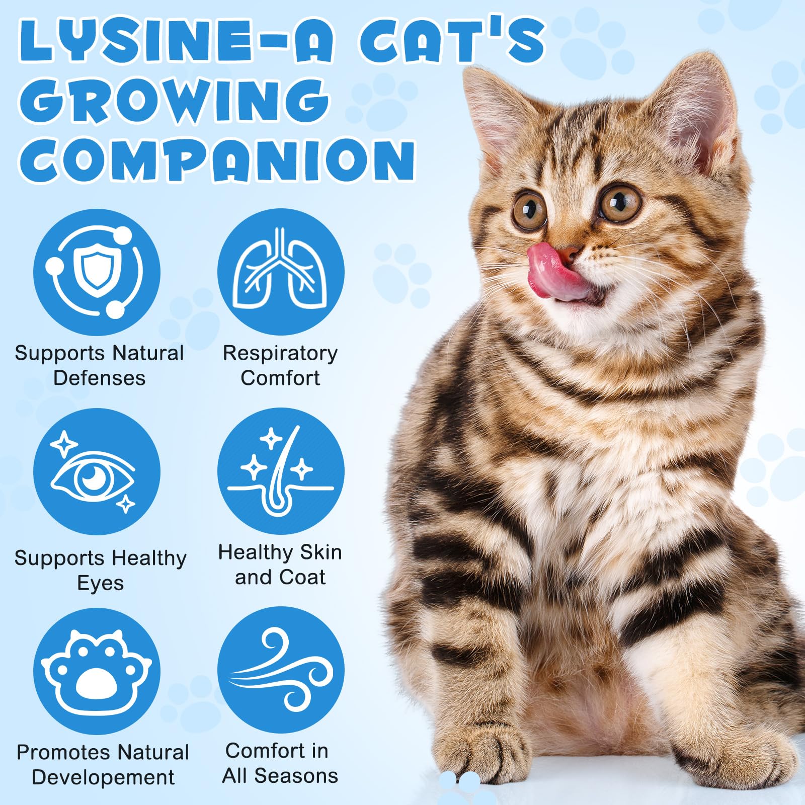ALIVO L-Lysine: ingrédients clés pour le bien-être général du chat.