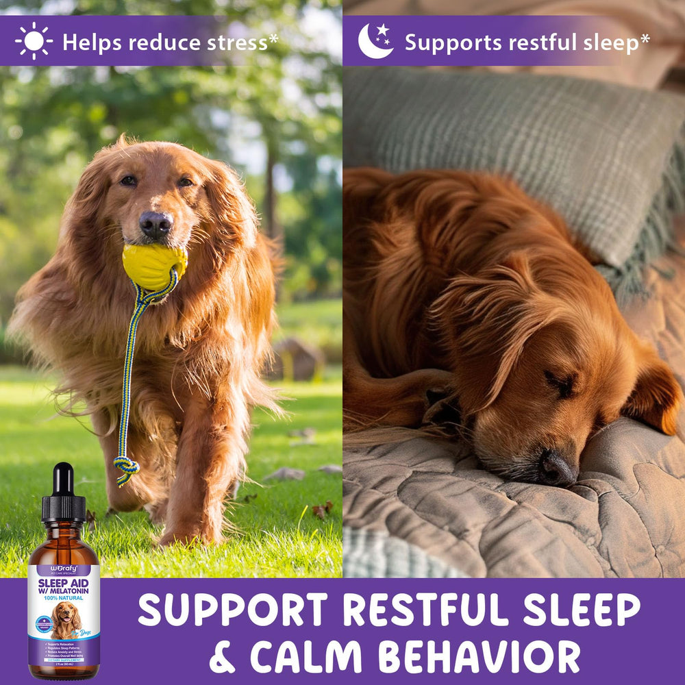 ALIVO Mélatonine chien gouttes dosage quotidien pratique