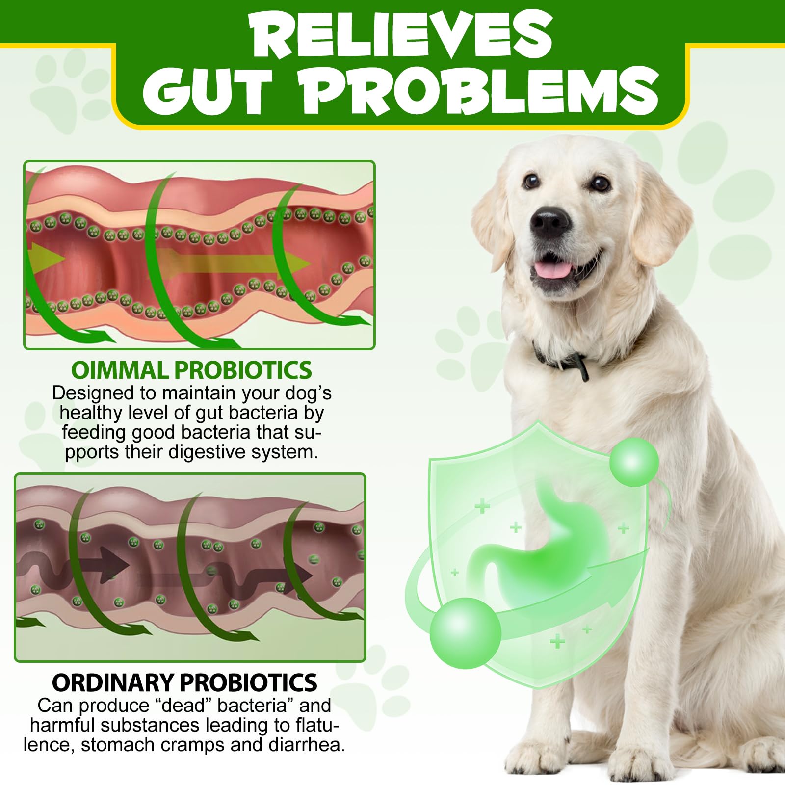 ALIVO Probiotiques chien: aide potentielle contre les allergies saisonnières