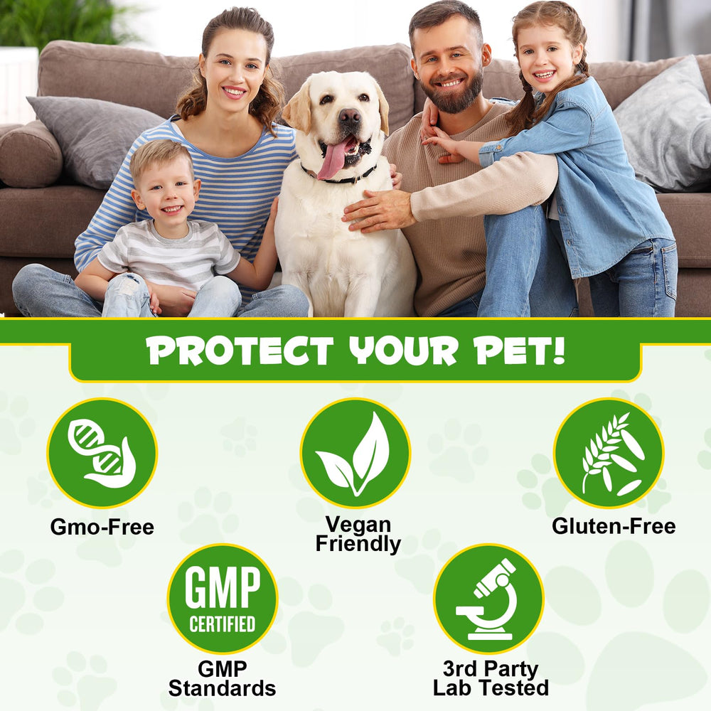 ALIVO Probiotiques chien: routine simple pour un transit plus stable