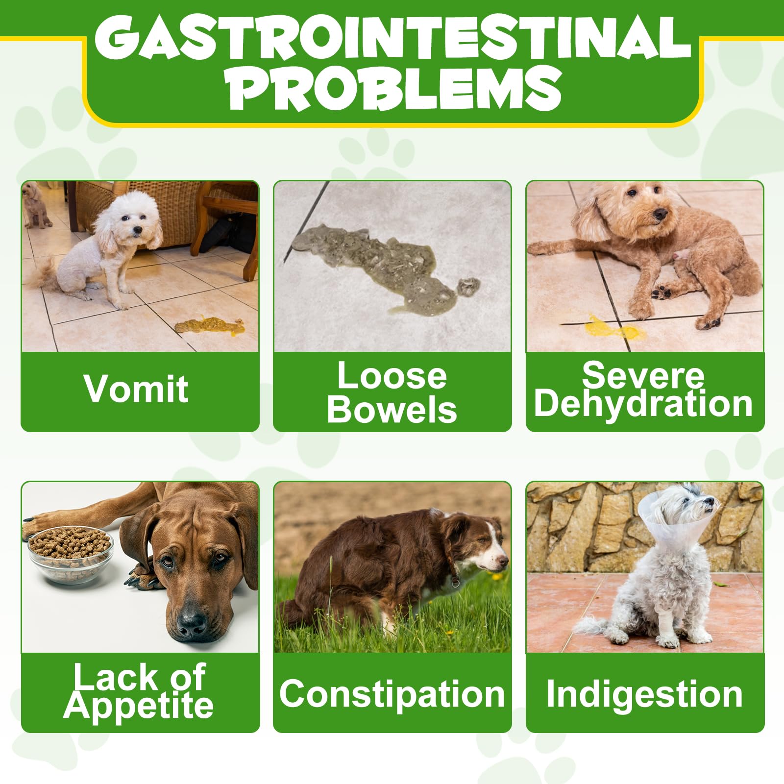 ALIVO Probiotiques chien: utilisation simple dans l'alimentation quotidienne
