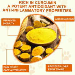 ALIVO Curcuma pour chiens — capsules visibles, soutien digestif potentiel