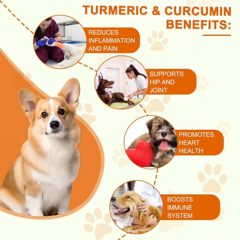 ALIVO Curcuma pour chiens — emballage lisible et dosage simple