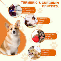ALIVO Curcuma pour chiens — emballage lisible et dosage simple