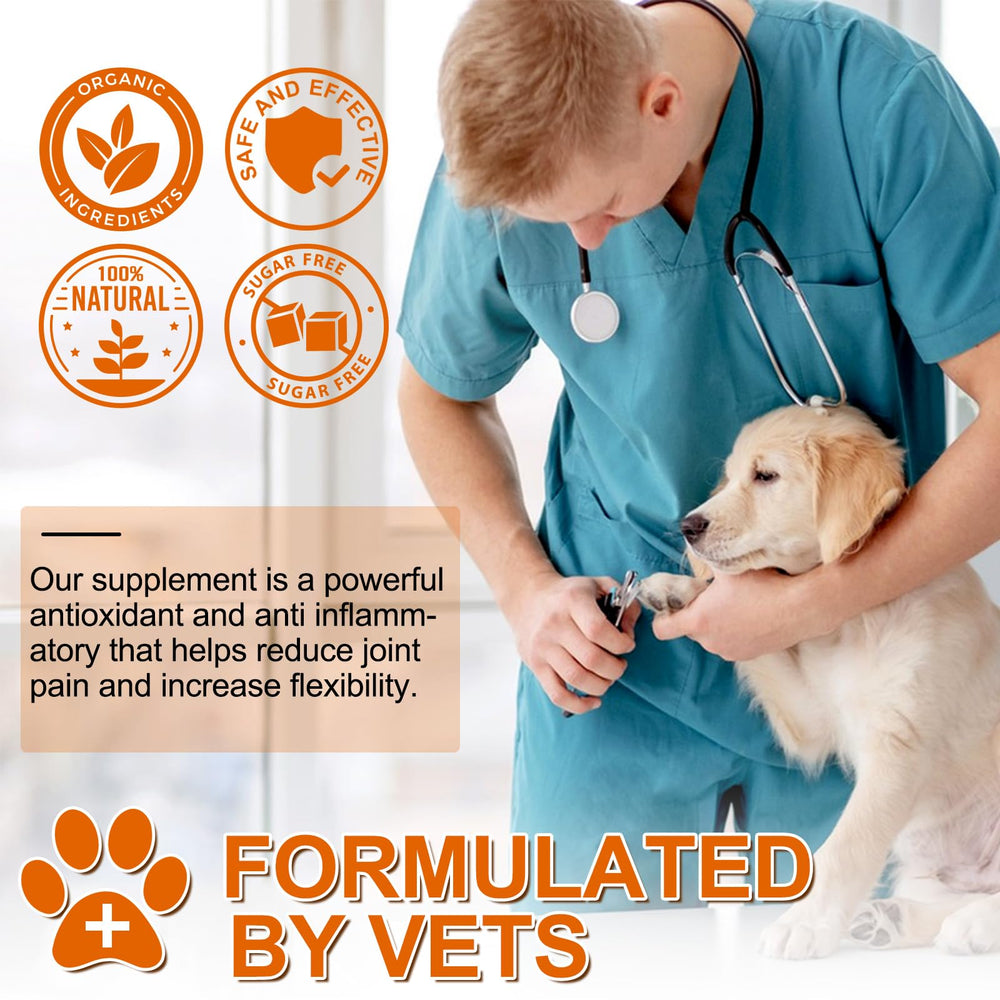 ALIVO Curcuma pour chiens — utilisation quotidienne pour mobilité et bien‑être