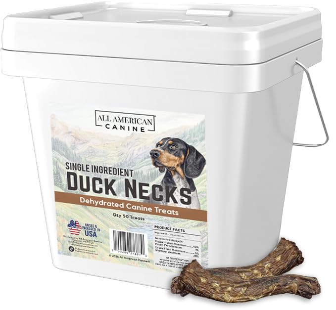 All American Canine 50: cous de canard séché, friandise protéinée pour chiens actifs.