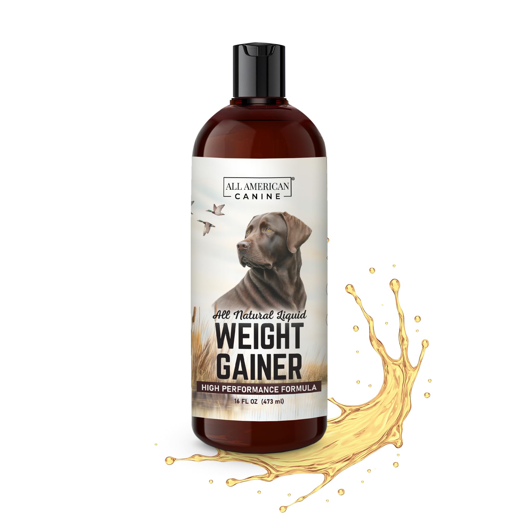 All American Canine Gain Poids Liquide - bouteille montrée, soutien nutritionnel pour prise de masse.