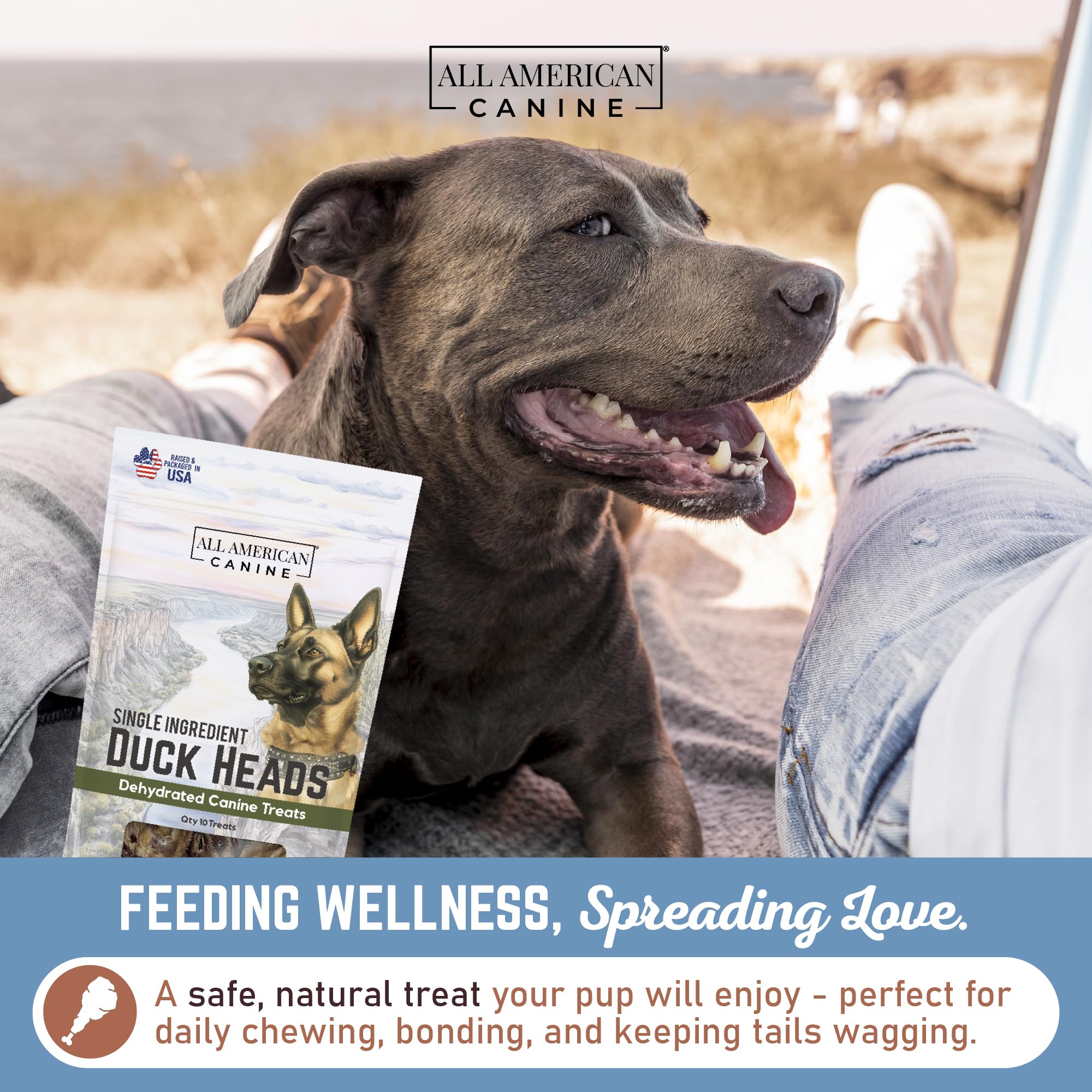 All American Canine – Ingrédient unique et sans céréales, idéal pour chiens sensibles.