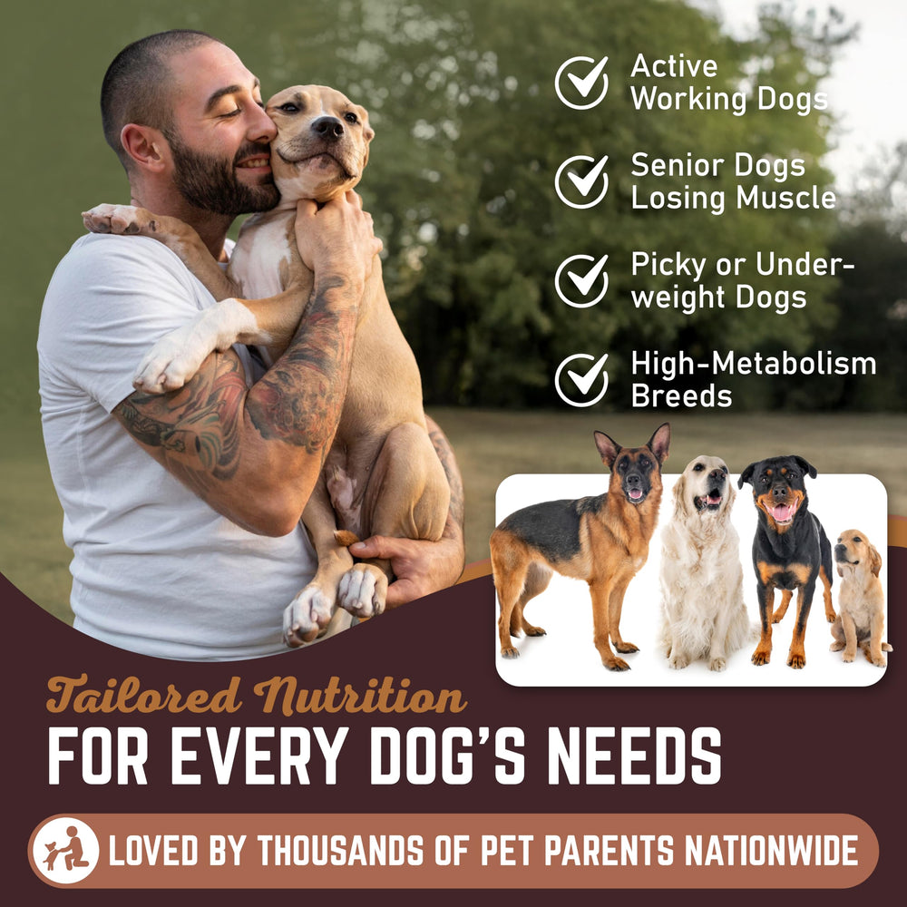 Mélange facile au repas avec goût savoureux All American Canine Gain Poids Liquide.