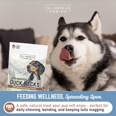 All American Canine – Nettoyage des dents grâce au cou de canard, mâchage utile.