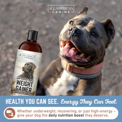 Pelage brillant grâce aux oméga All American Canine Gain Poids Liquide.