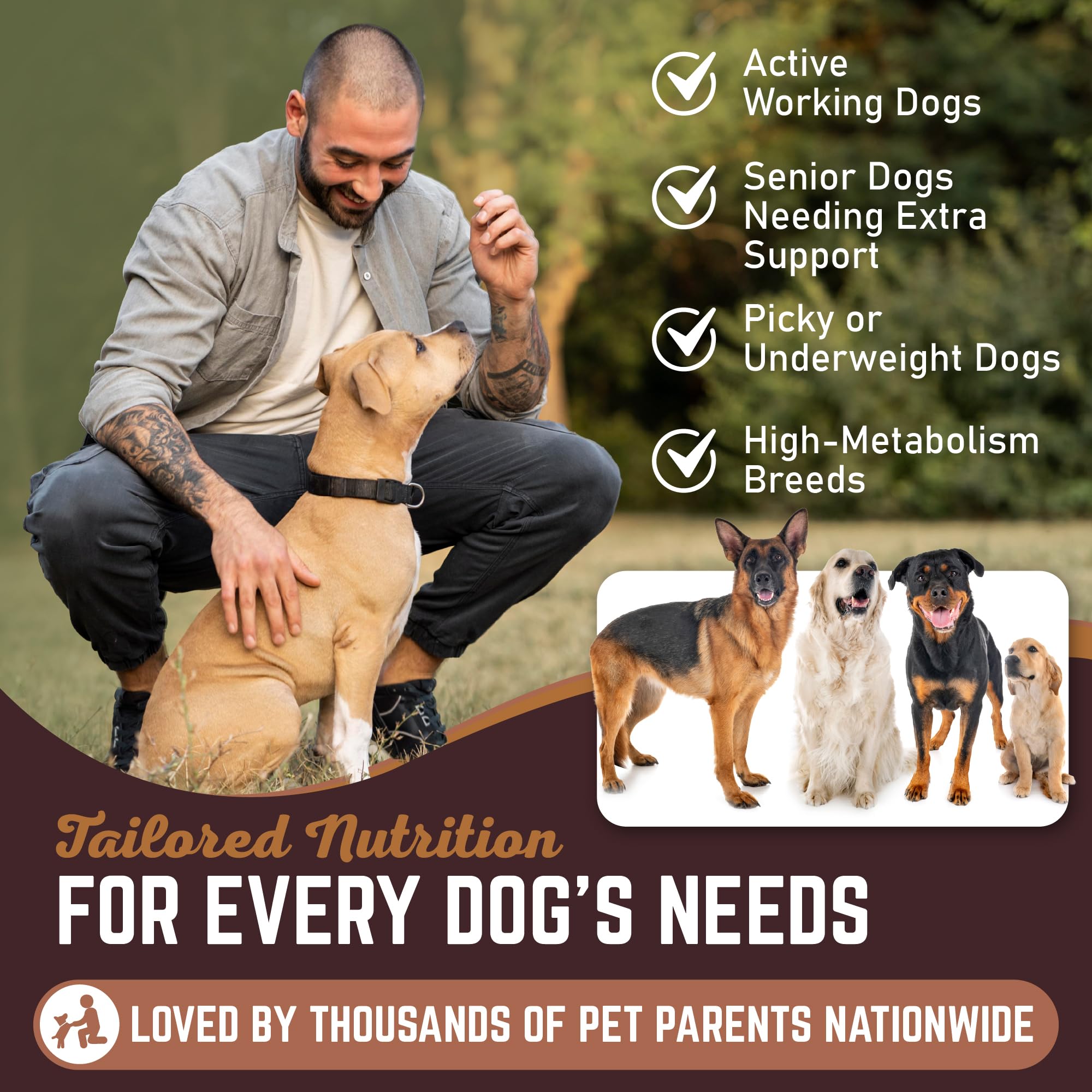 All American Canine — proteine unique de canard, adapte pour chiens sensibles ou allergies.