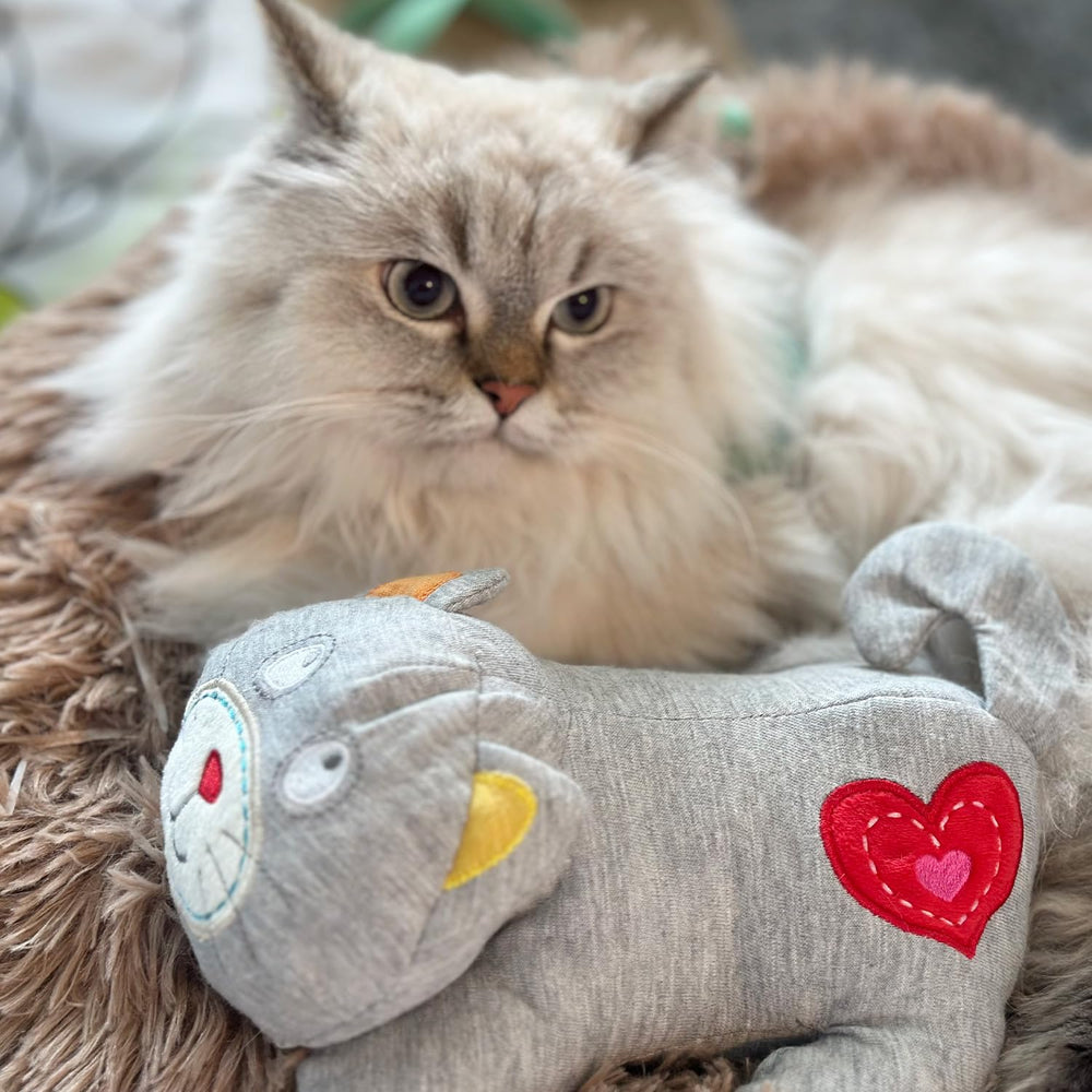 Apaise le stress des chats avec le jouet AFP.