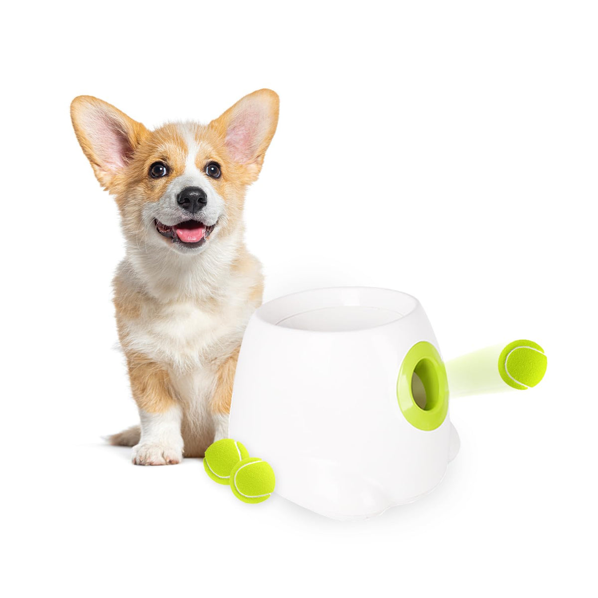 AFP All for Paws lanceur de balle – vue d'ensemble du design.