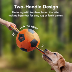 ALL FOR PAWS Ball Ballistique – bordure renforcée, durable pendant les sessions de traction.