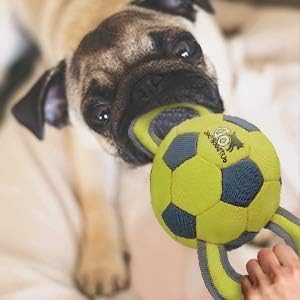 ALL FOR PAWS Ball Ballistique – conçu pour un jeu responsable sous supervision.