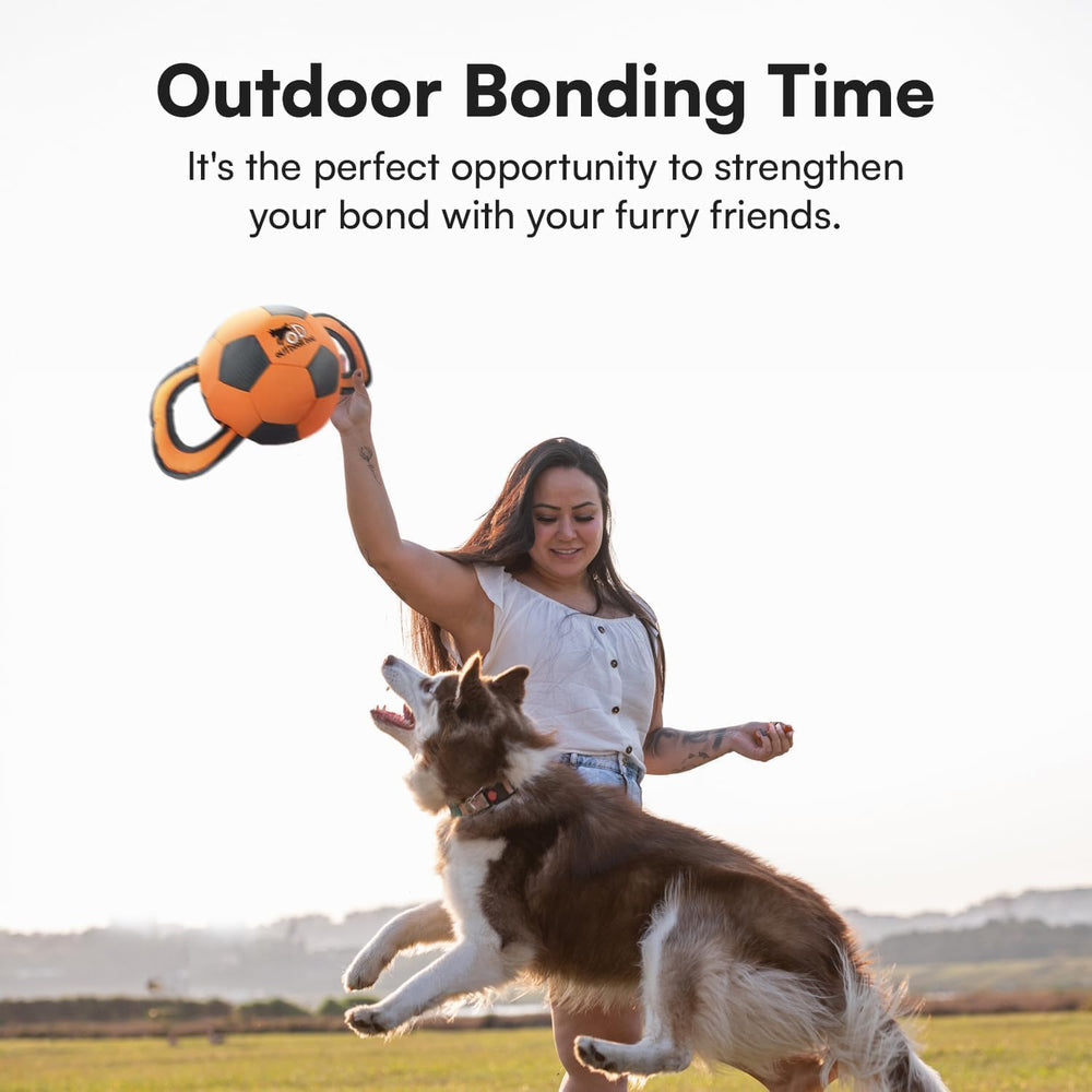ALL FOR PAWS Ball Ballistique – trois couleurs disponibles pour varier les sessions.