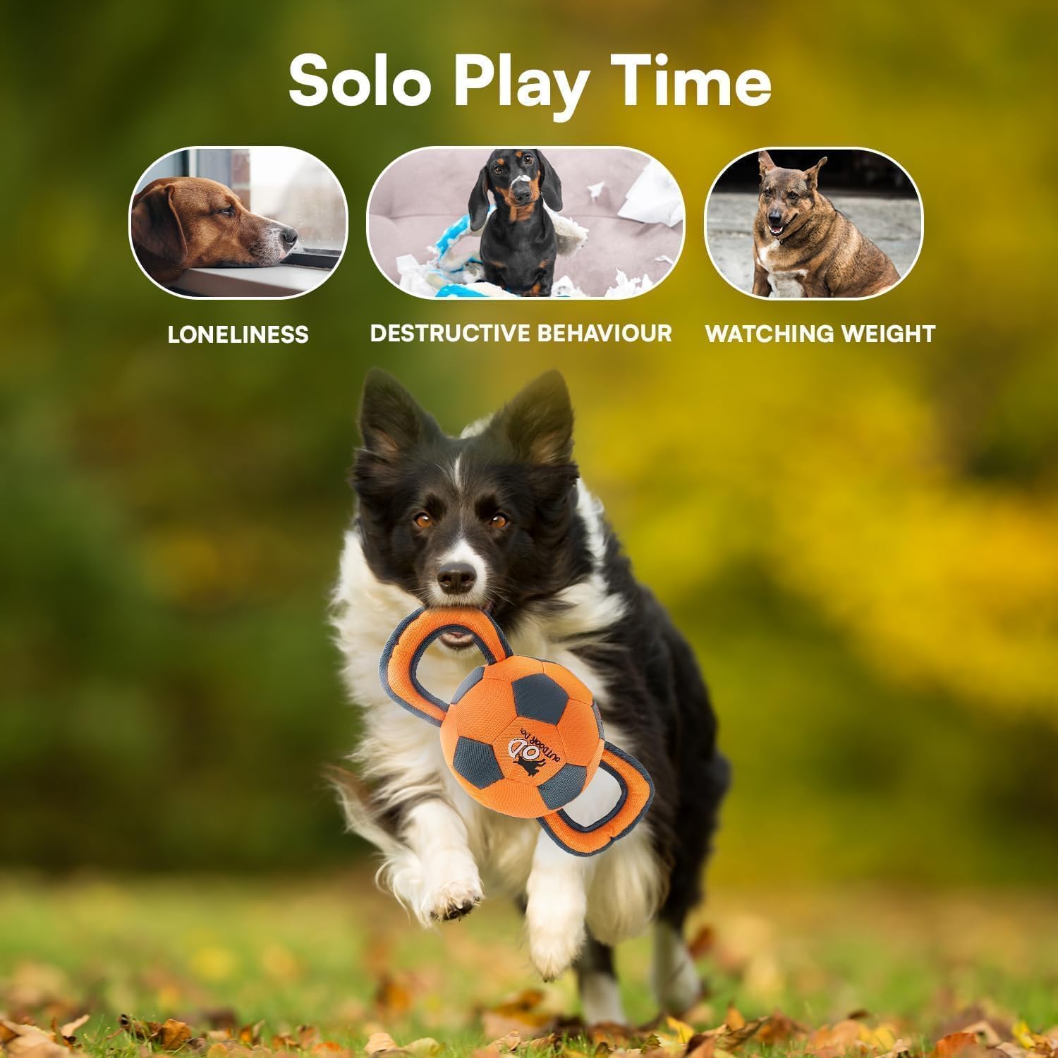 ALL FOR PAWS Ball Ballistique – traction en duo, idéale pour le jeu partagé.
