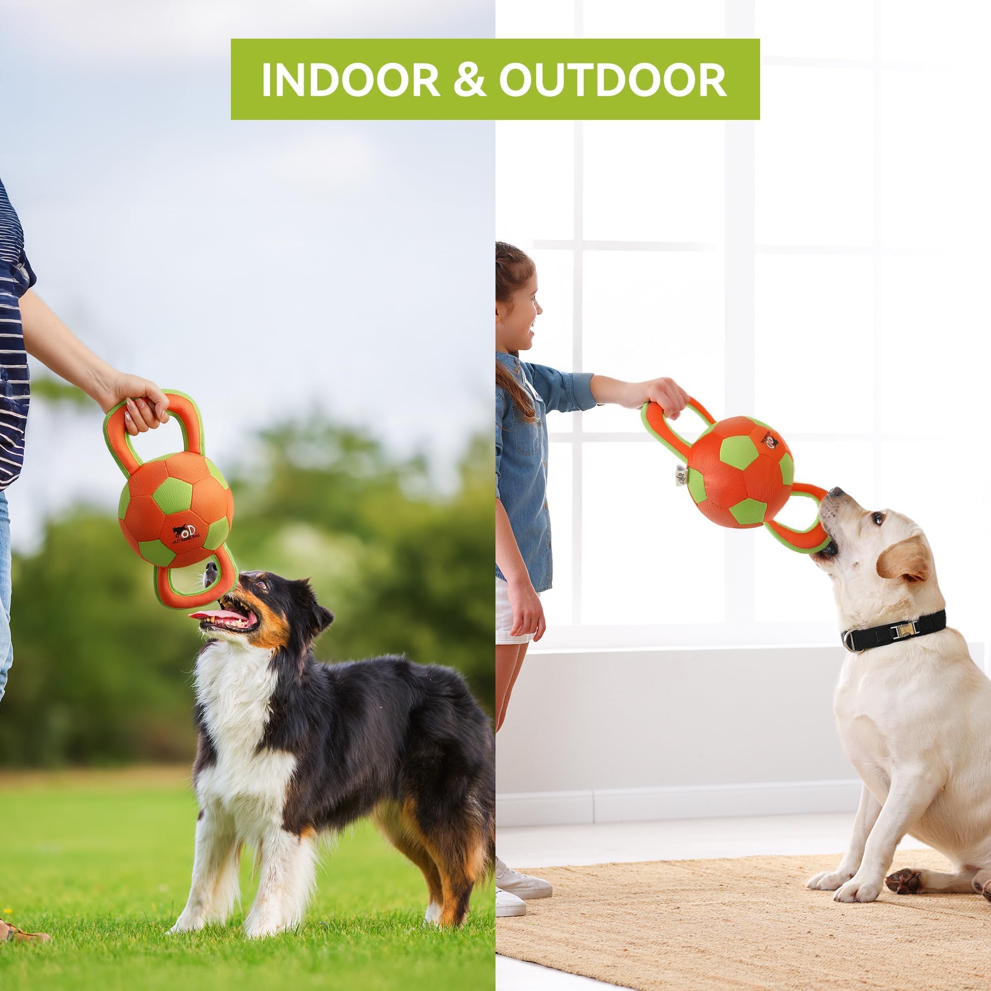 ALL FOR PAWS Ball Ballistique – utilisable en intérieur et extérieur pour diverses activités.