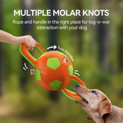 Balle ALL FOR PAWS avec sifflet intégré pour chien