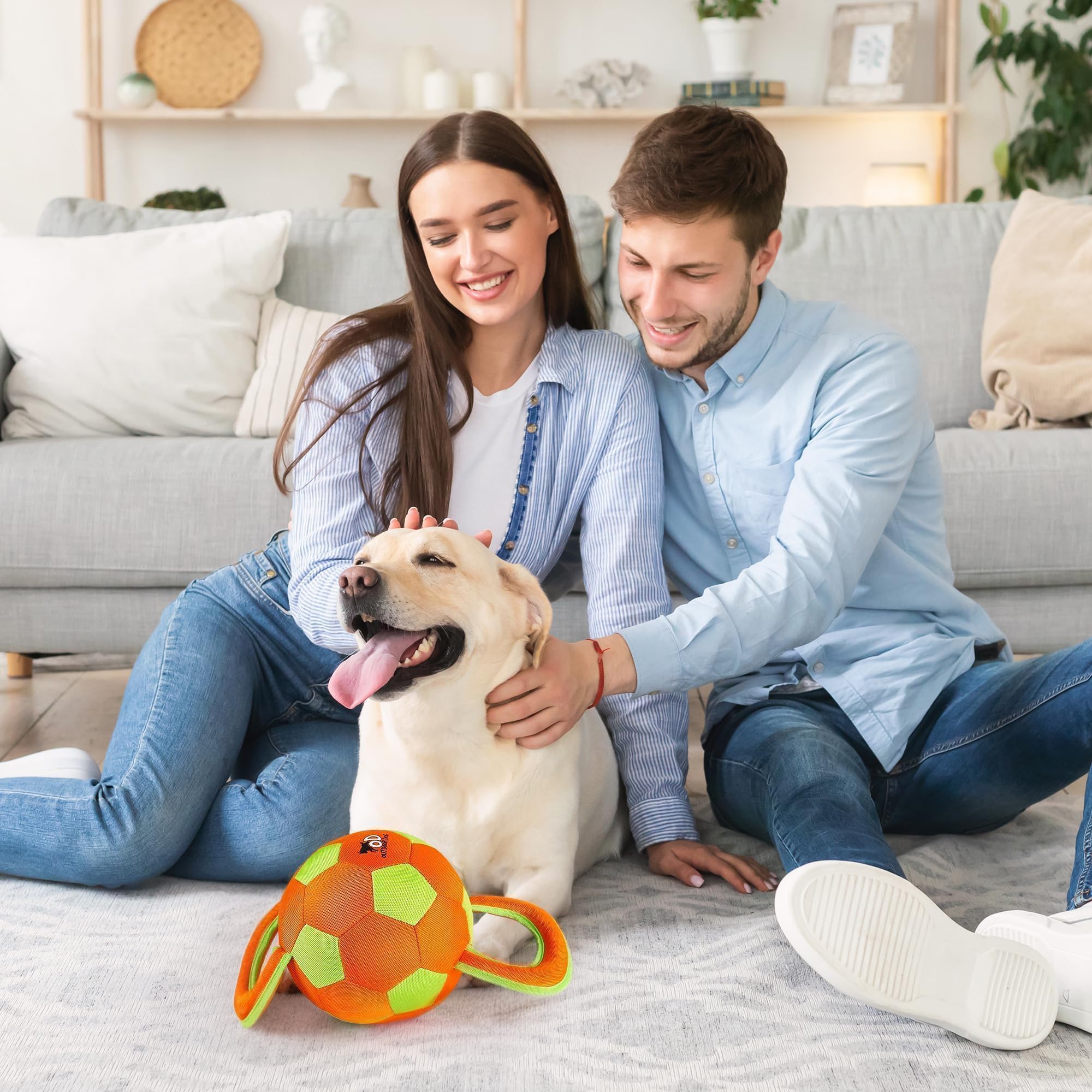 Jeu de rapport et tir avec balle ALL FOR PAWS