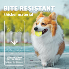 ALL FOR PAWS balle-tennis jaune 2,5 pouces adaptée à l’utilisation en extérieur