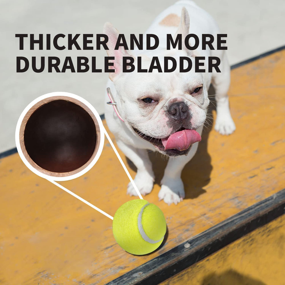ALL FOR PAWS balle-tennis jaune 2,5 pouces compatible avec lanceur