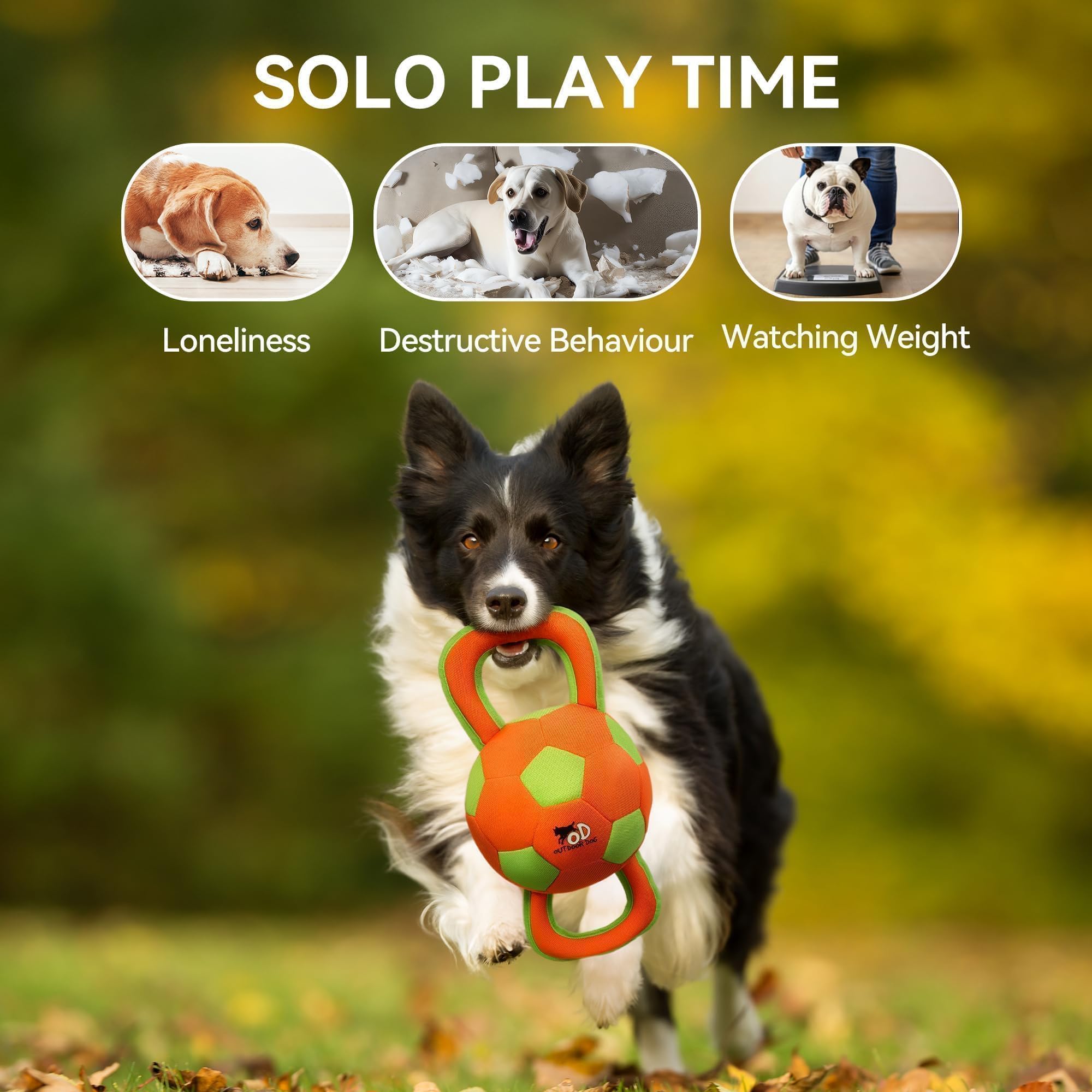 Jouet tir interactif ALL FOR PAWS pour chien