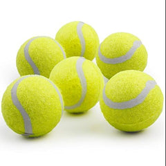 Balle tennis ALL FOR PAWS compatible mini-lanceur, lancer précis.