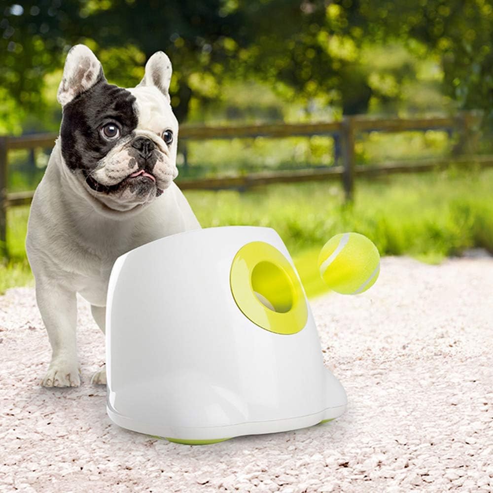 Surface douce, balle ALL FOR PAWS protège dents et gencives.