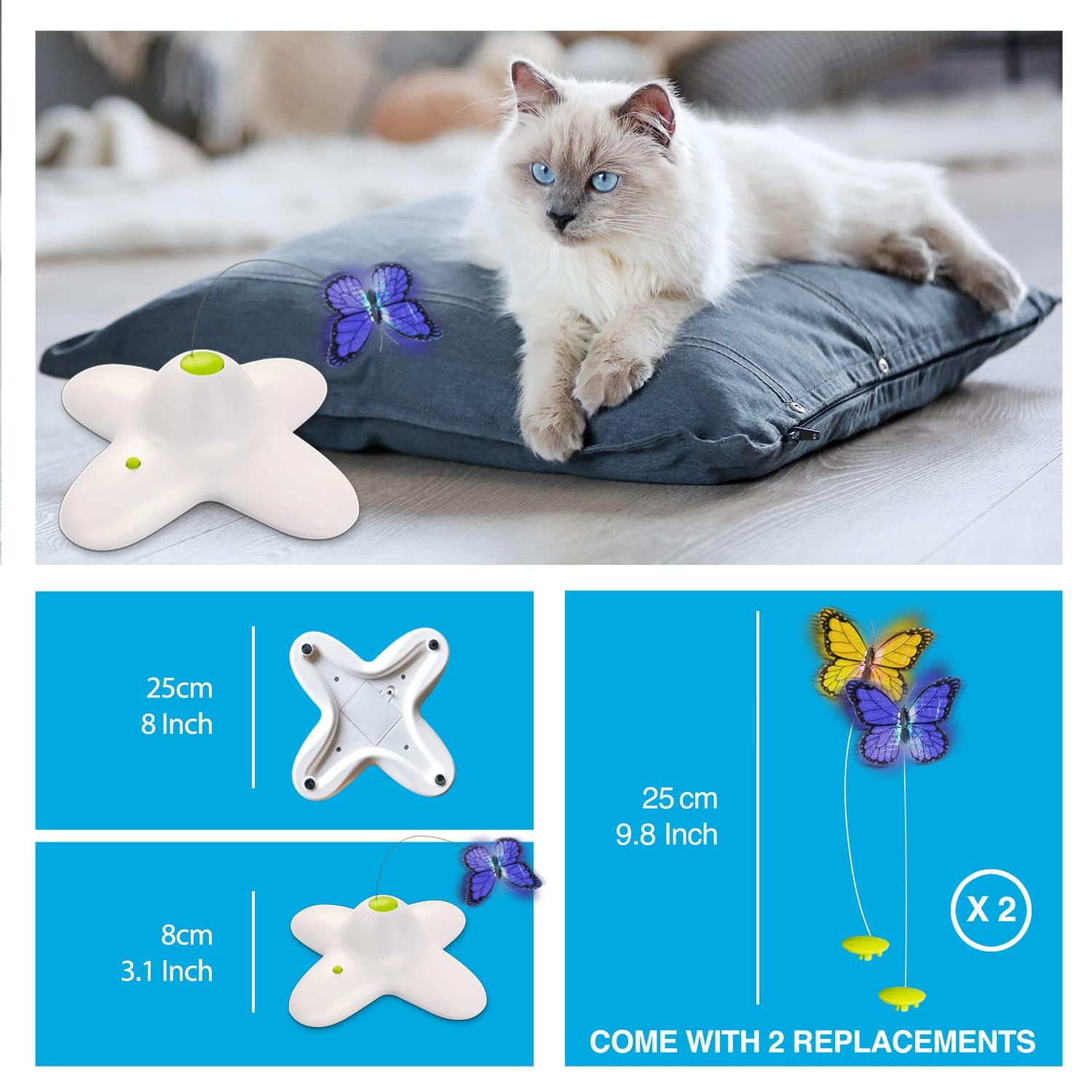 ALL FOR PAWS bien-etre-chat-activité-physique contribue au bien-être général lors des sessions de jeu.