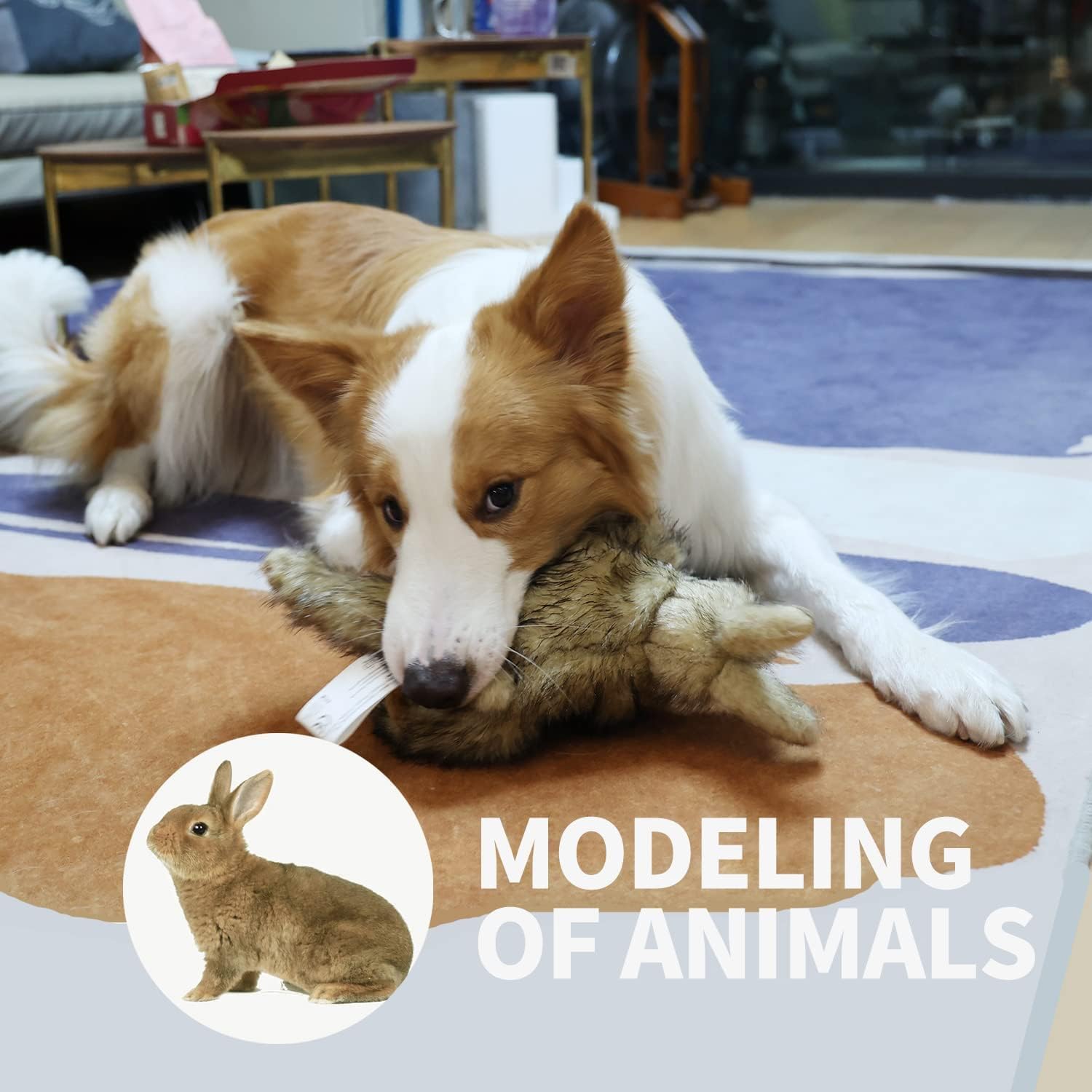 Cadeau idéal ALL FOR PAWS pour chiens fans de jeux.