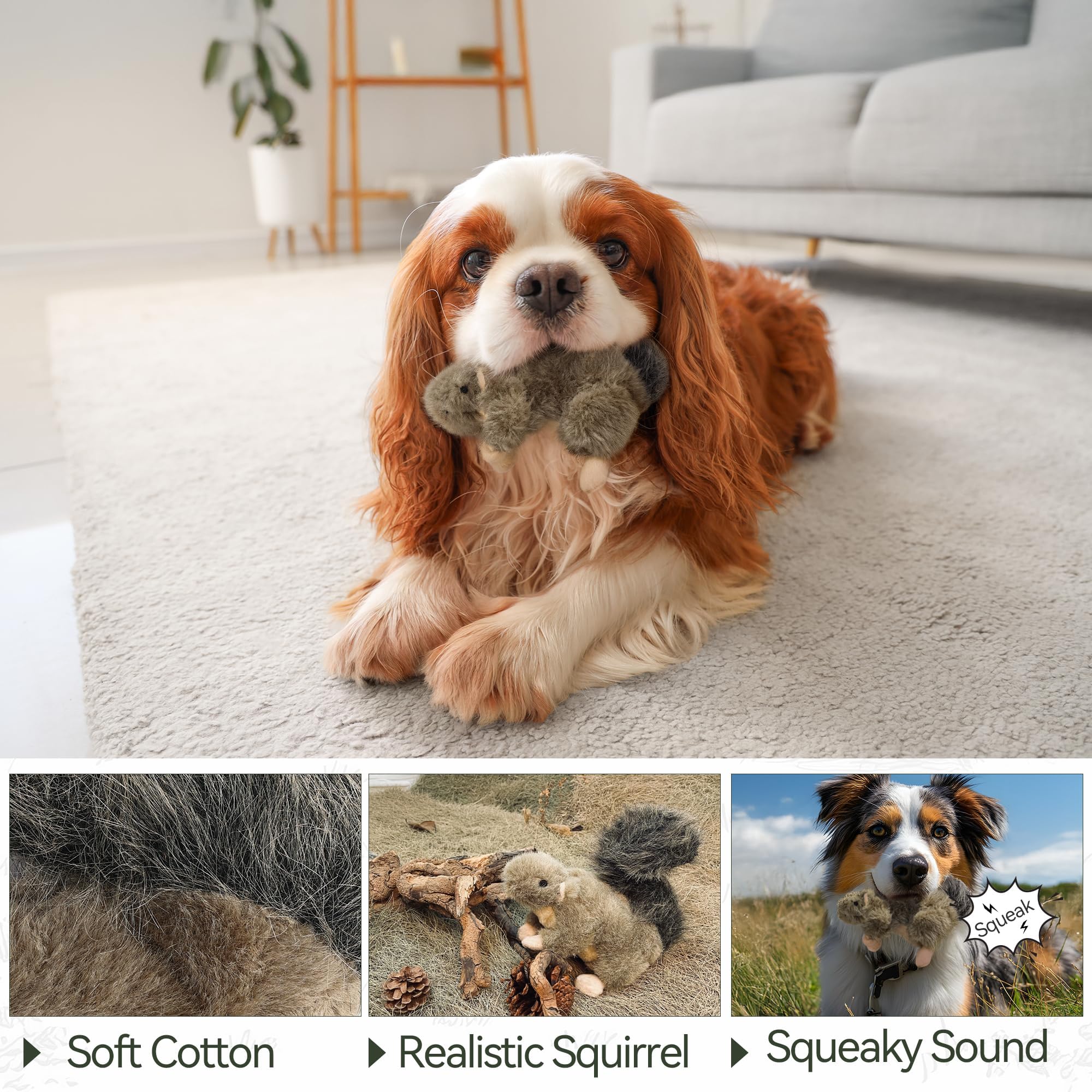 ALL FOR PAWS Classic Squirrel Petit – en action avec chien, stimulation ludique.