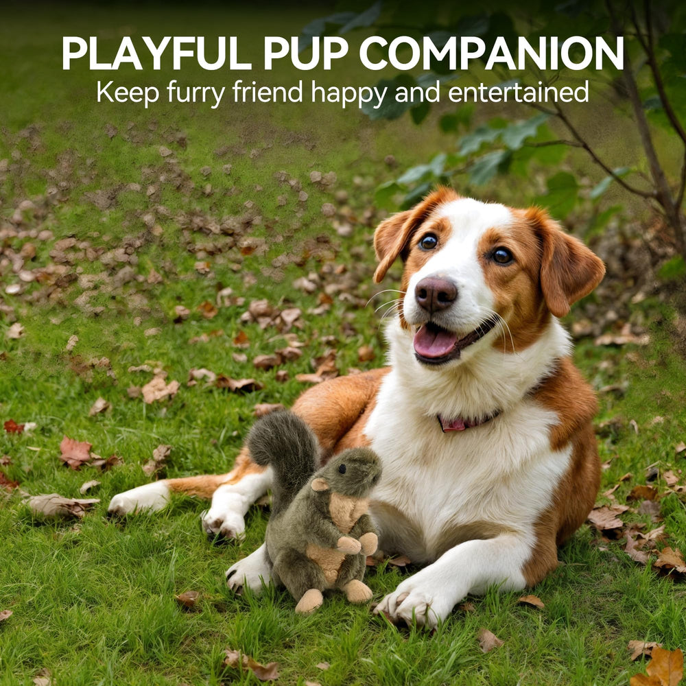 ALL FOR PAWS Classic Squirrel Petit – jeu interactif stimulant l’instinct de chasse.