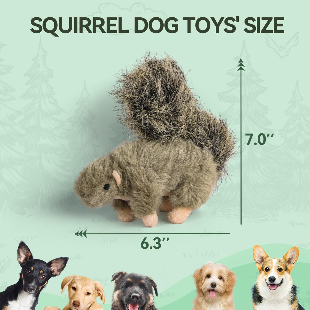  ALL FOR PAWS Classic Squirrel Petit – sifflet intégré pour jeu interactif.