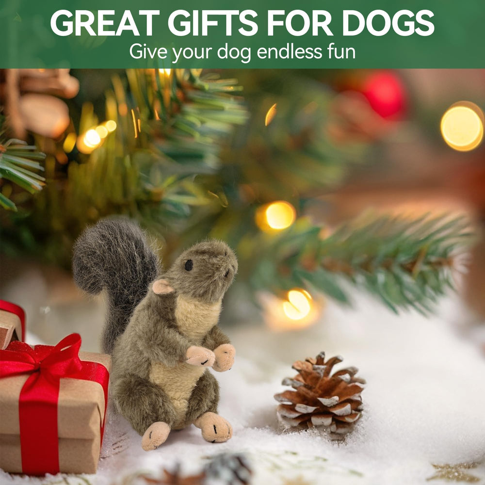 ALL FOR PAWS Classic Squirrel Petit – supervision recommandée lors du jeu.