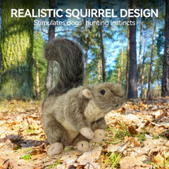 ALL FOR PAWS, design durable d’écureuil en peluche pour usage prolongé.