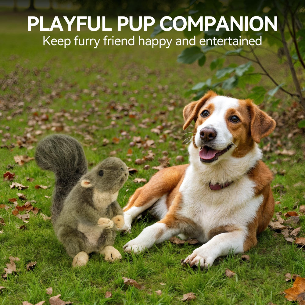 ALL FOR PAWS, couleurs naturelles qui s’intègrent discrètement dans le quotidien.