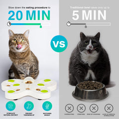 Enrichissement ALL FOR PAWS avec papillon, compartiments cachés pour friandises