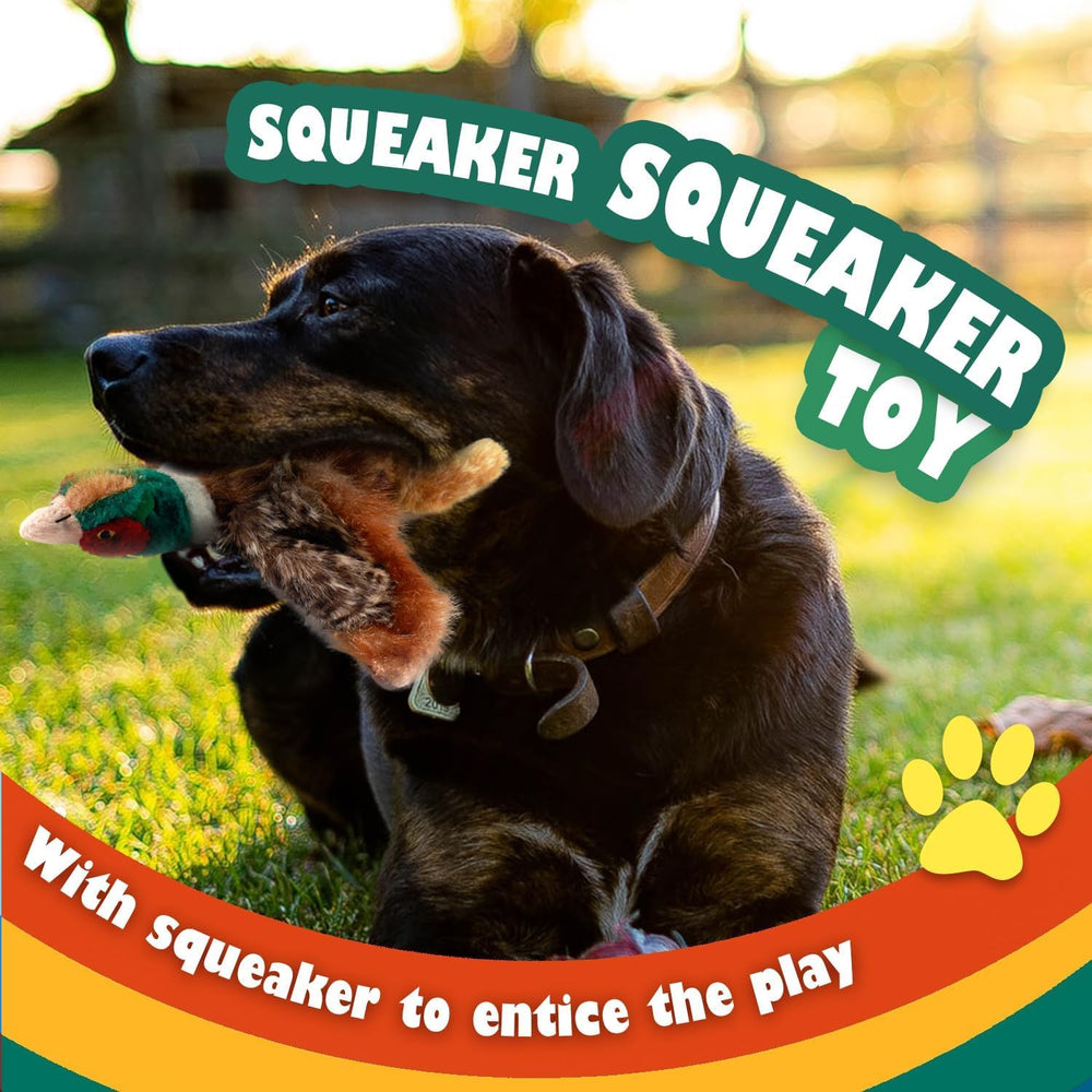 ALL FOR PAWS faisan avec sifflet intégré – divertissement interactif pour chiens.