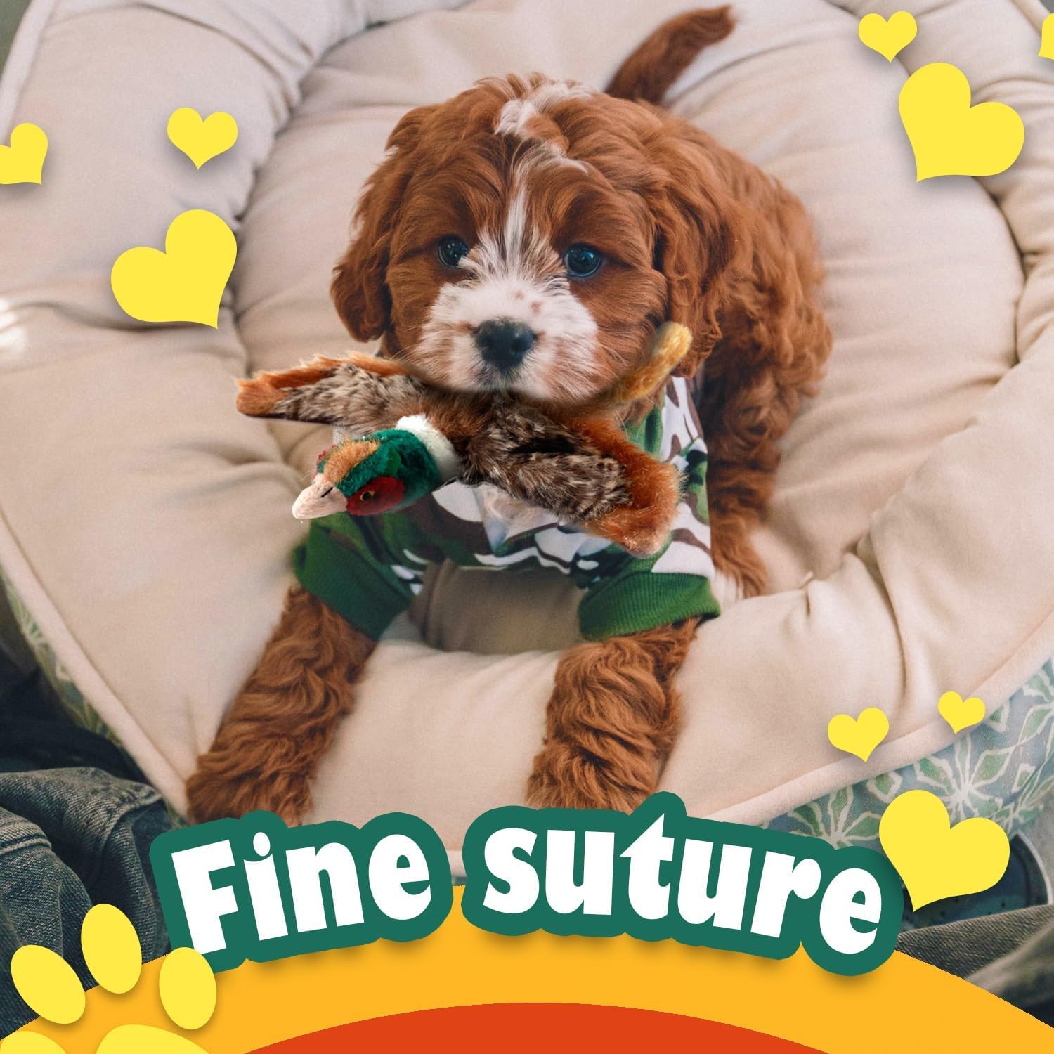 ALL FOR PAWS fetch-idéal – pratique pour lancer et récupérer.