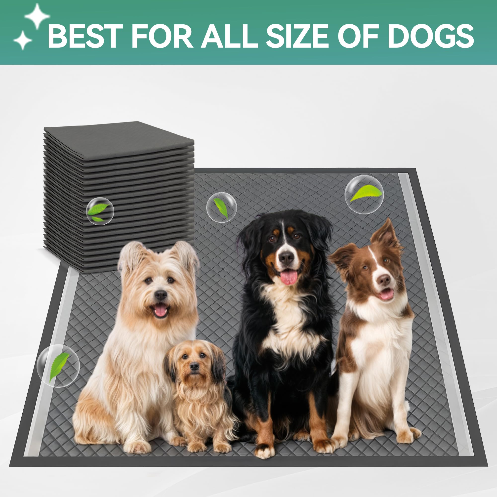 ALL FOR PAWS grille-mesh amovible nettoyage rapide