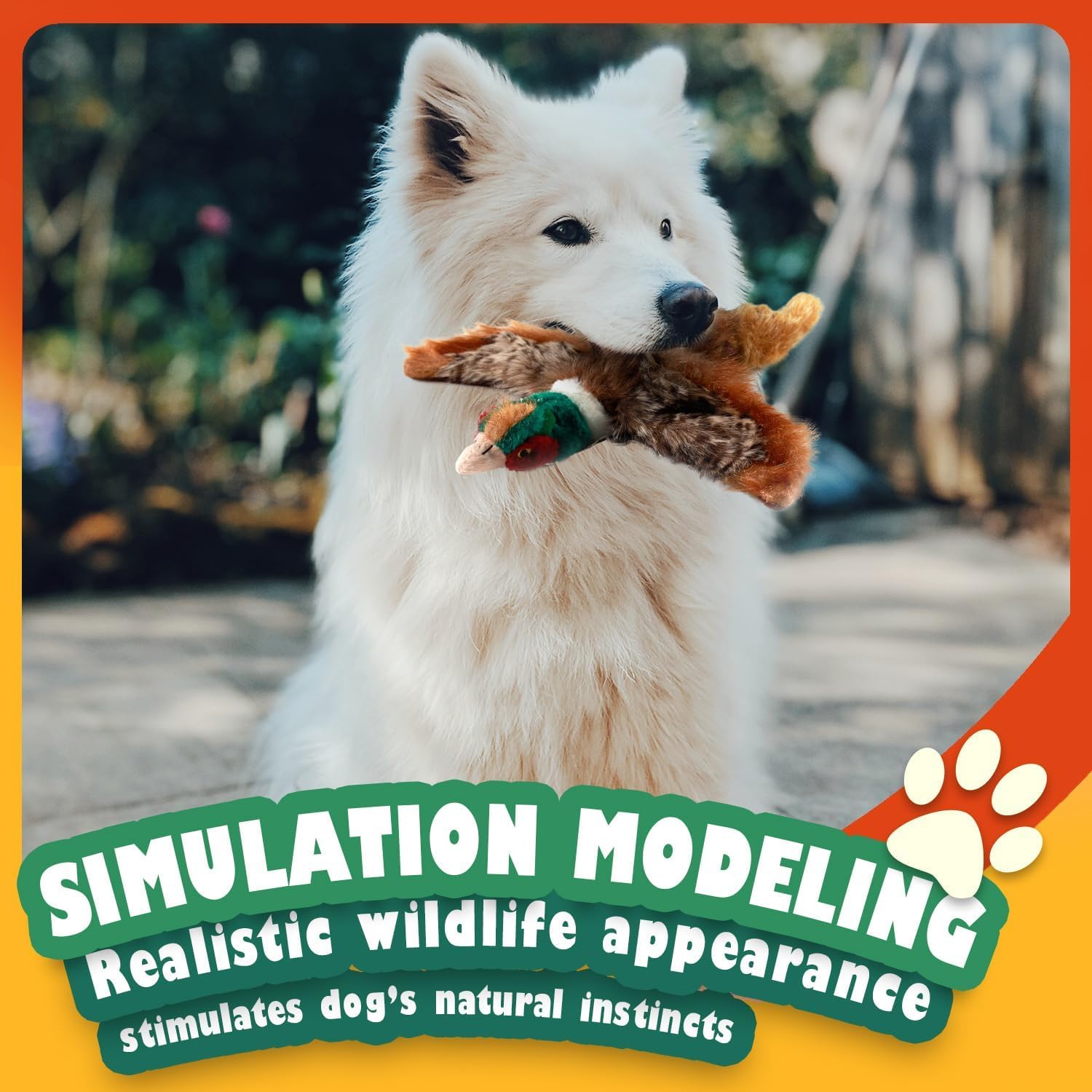 ALL FOR PAWS interaction ludique – parfait pour le fetch et les jeux.