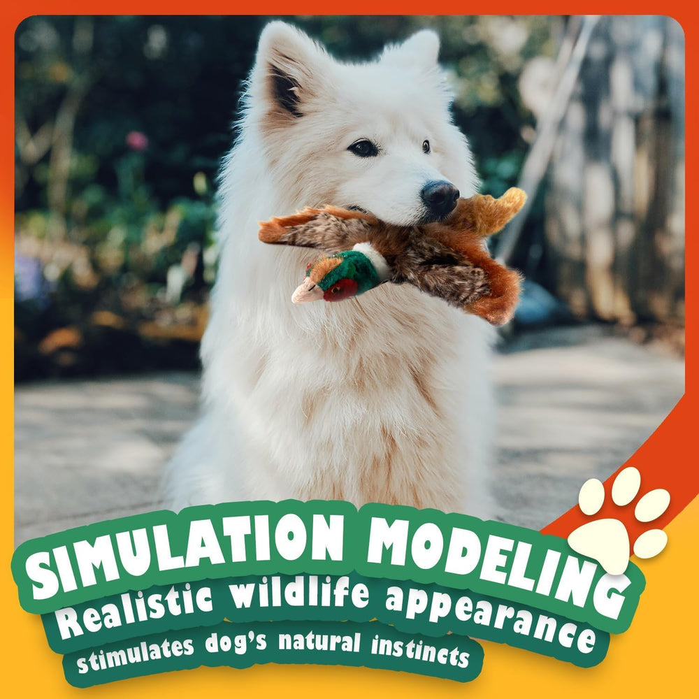 ALL FOR PAWS interaction ludique – parfait pour le fetch et les jeux.