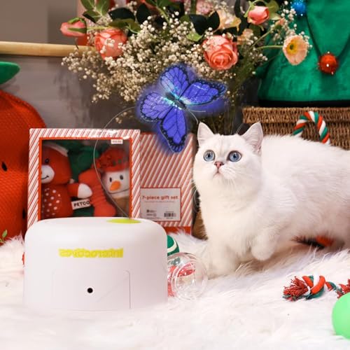ALL FOR PAWS Interactives kit-jeu-chasseur enrichit les moments de jeu quotidiens.