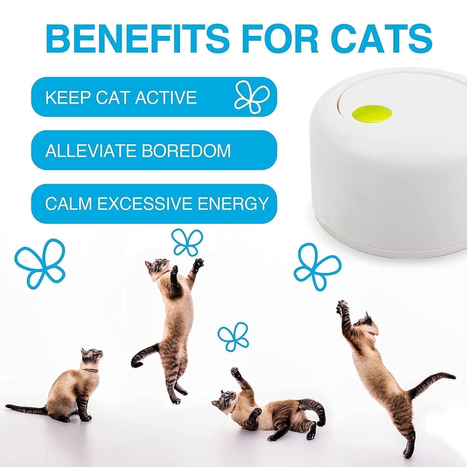 ALL FOR PAWS Interactives papillon-brillant-lumiere attire rapidement les chats.