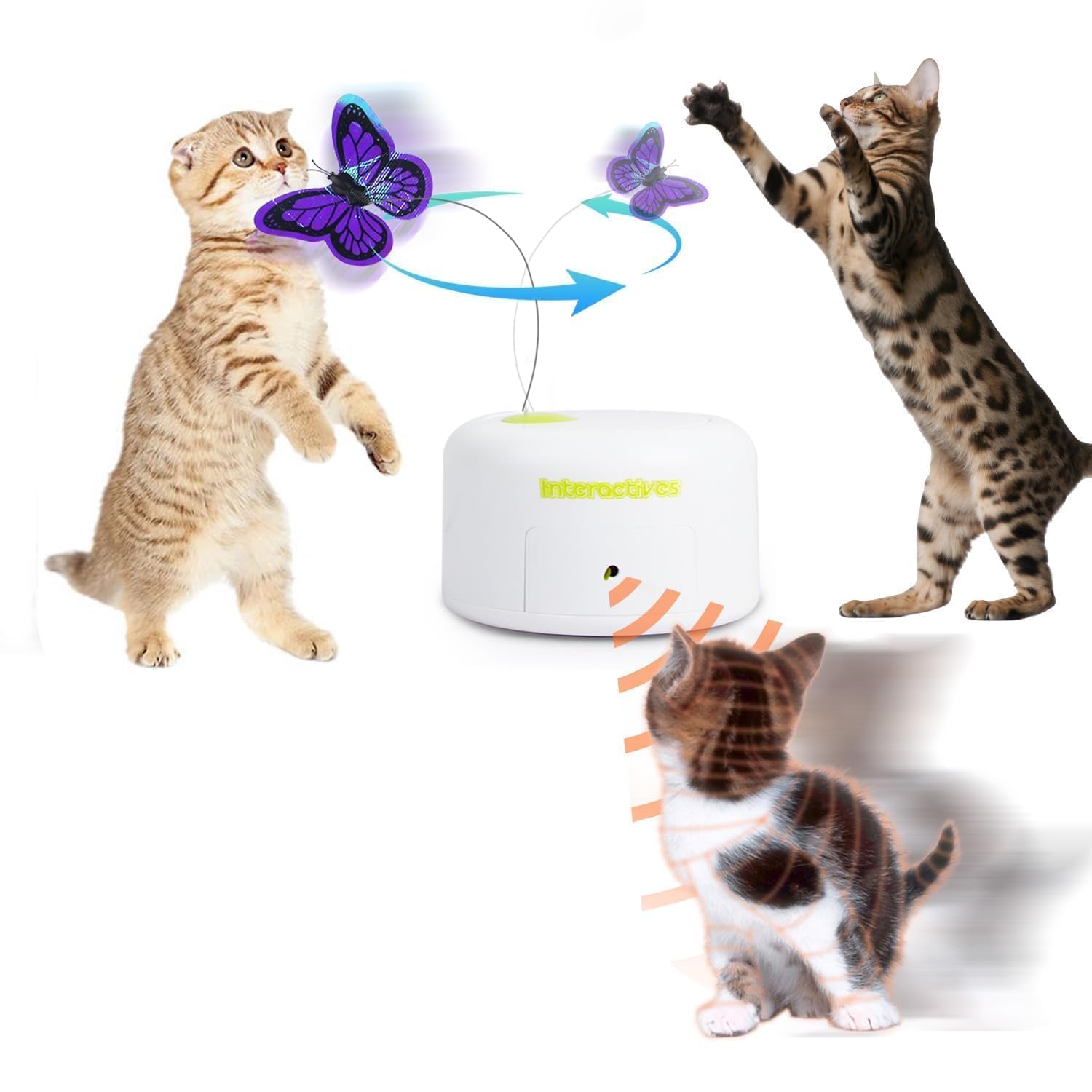 ALL FOR PAWS Interactives papillon-reflechissant attire le regard du chat et stimule l'exploration.