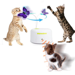 ALL FOR PAWS Interactives papillon-reflechissant attire le regard du chat et stimule l'exploration.
