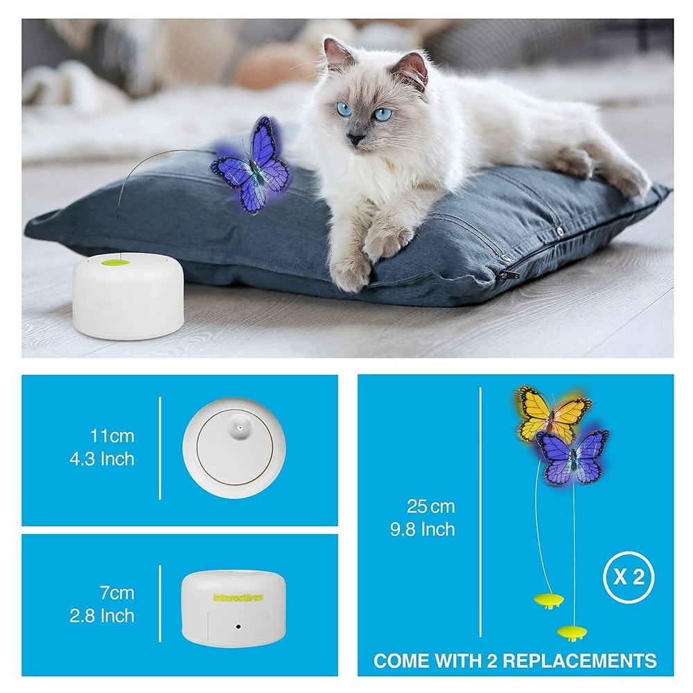 ALL FOR PAWS Interactives utilisation-interieure idéal pour jouer dans le salon.