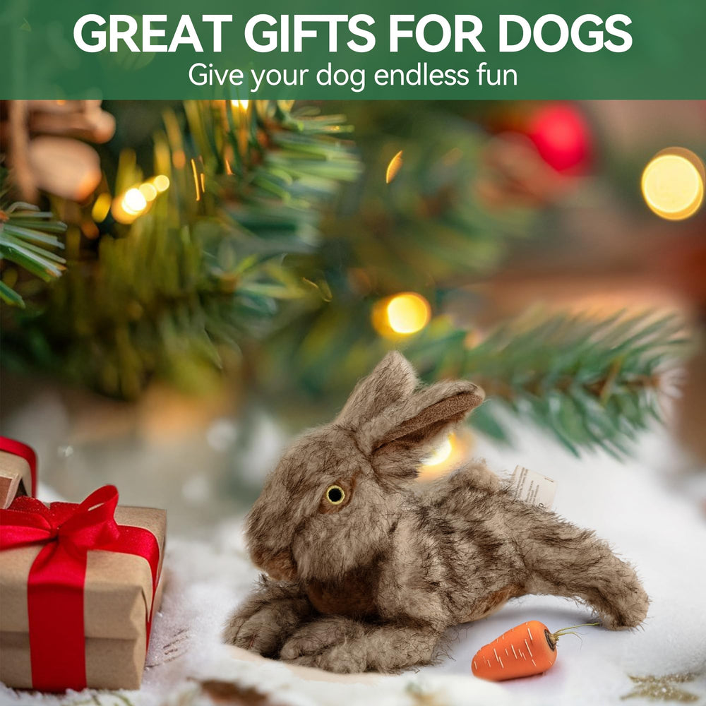 ALL FOR PAWS Idée cadeau populaire pour les chiens lors d’anniversaires.